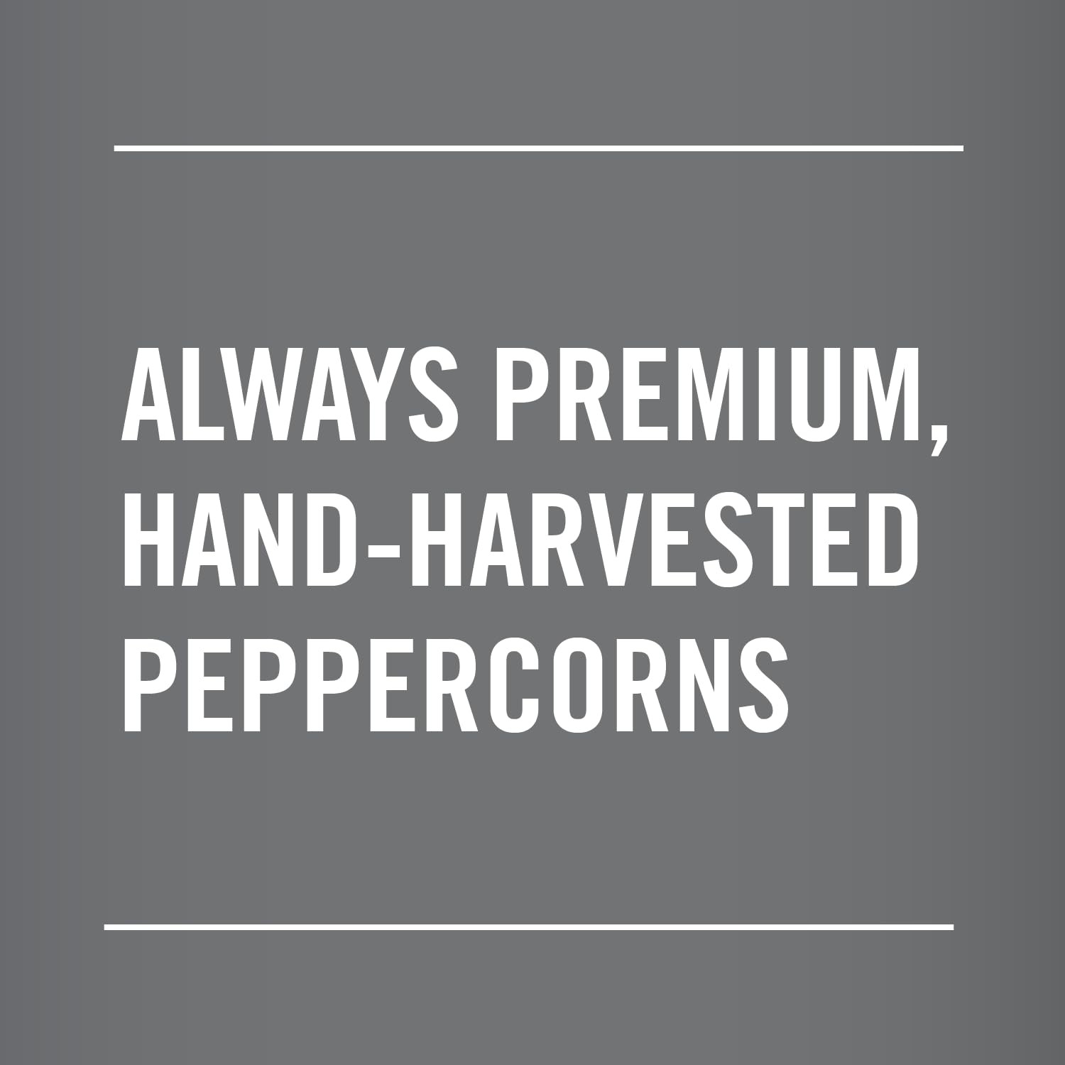 McCormick Whole Black Pepper (Made with Whole Peppercorns), 17.5 oz