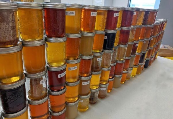 Killer Bee HONEY The best HONEY ON THE PLANET 100% PURE