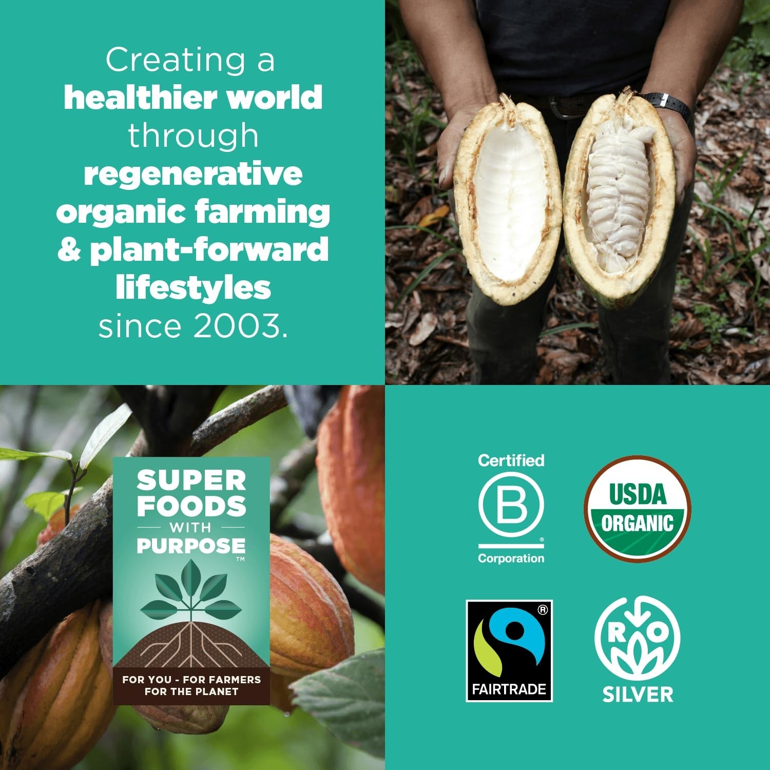 Navitas Organic Cacao Powder 8oz – Rich Dark Chocolate, Gluten-Free & Fairtrade