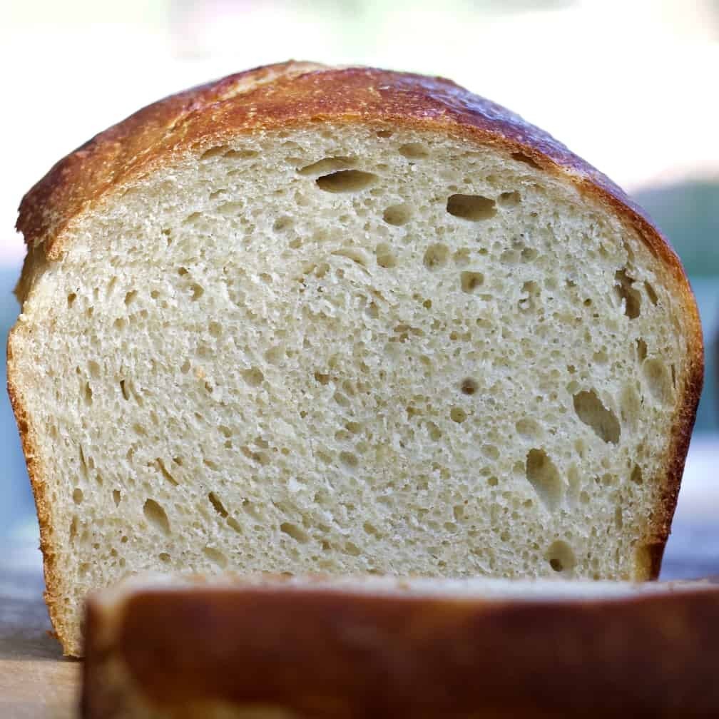 Sourdough Starter Dehydrated Schia Island Action Italian – 15 Gram Bag