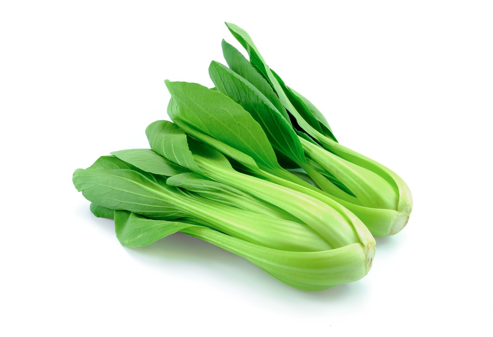 Farm Fresh Delicious Baby Bok Choy by RawJoy Farms
