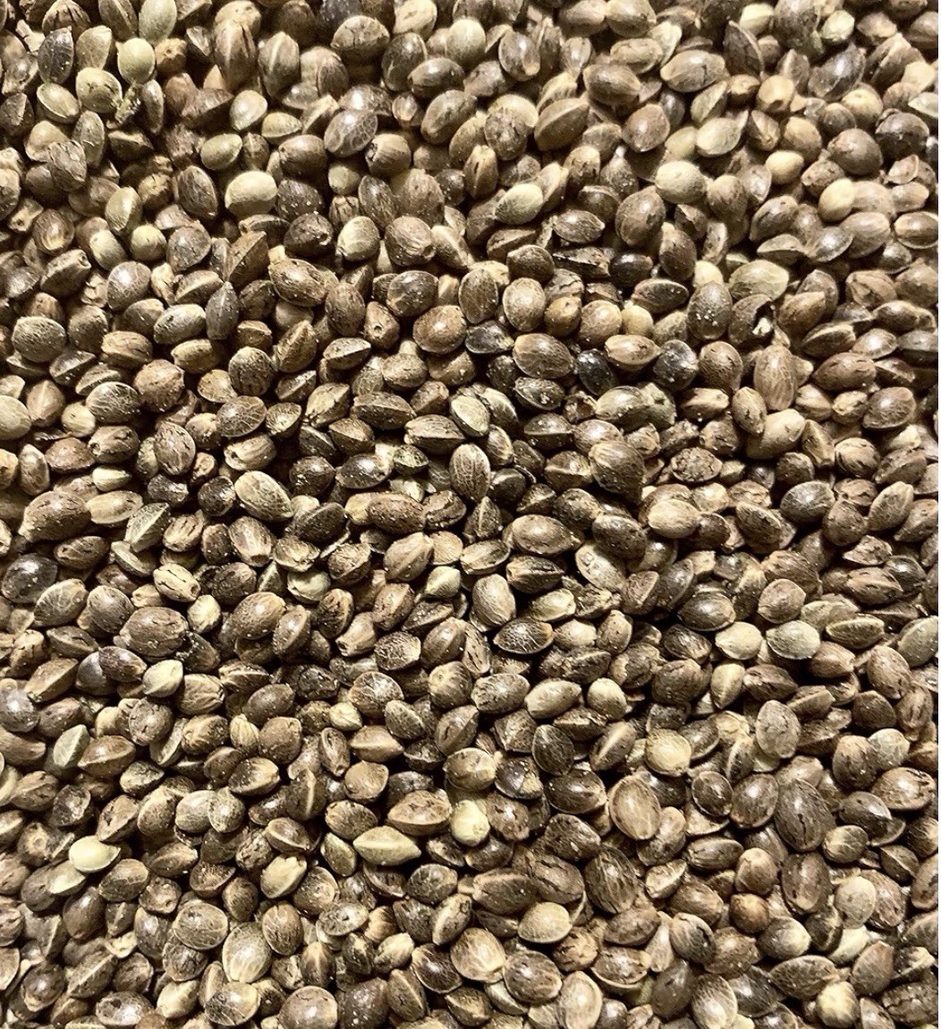 Hemps Hispaniola Facility, Inc Whole Hemp Seed Baking Nut & Seed