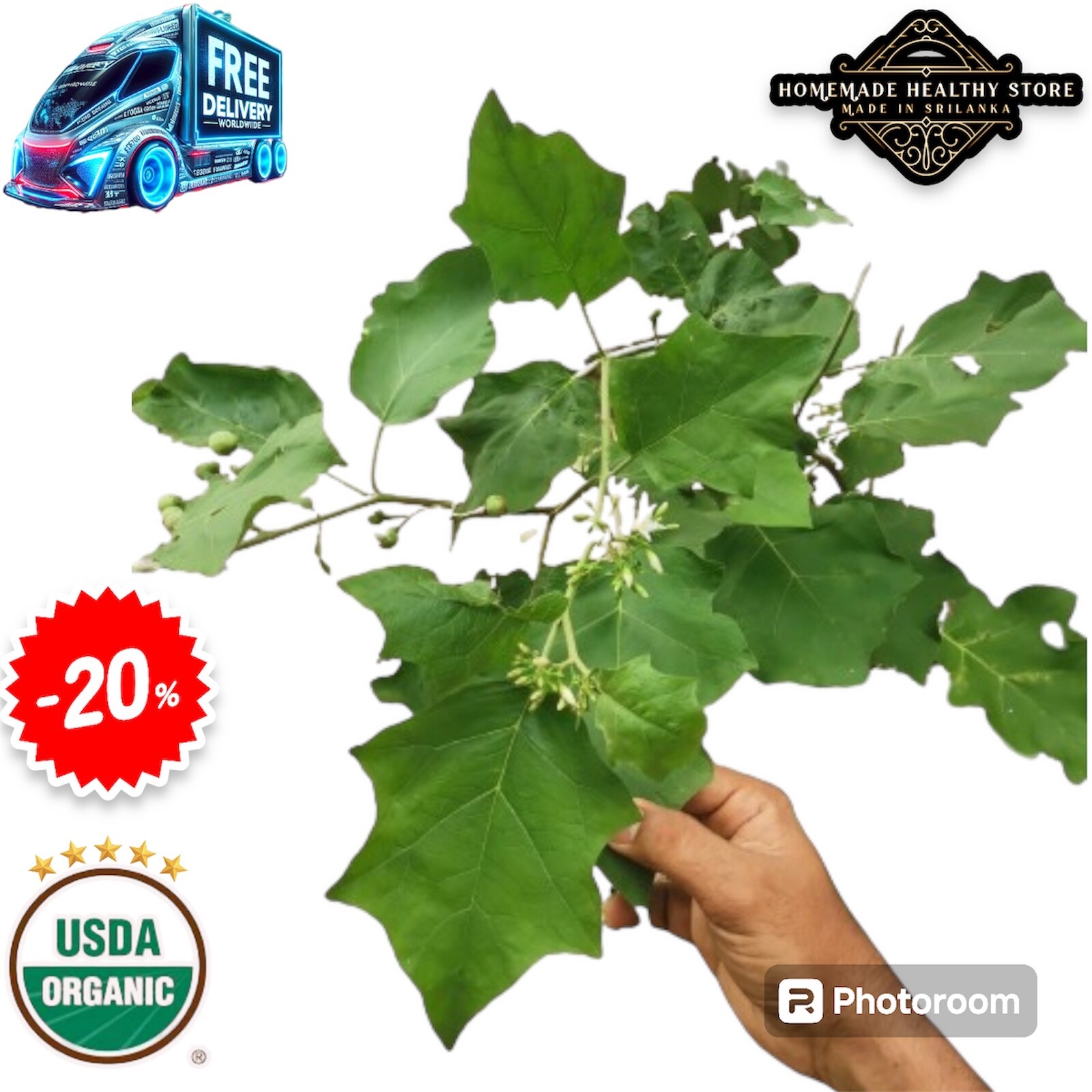 New dried turkey berry leaves 20+ pure 100%organic natural solanum torvum leaves