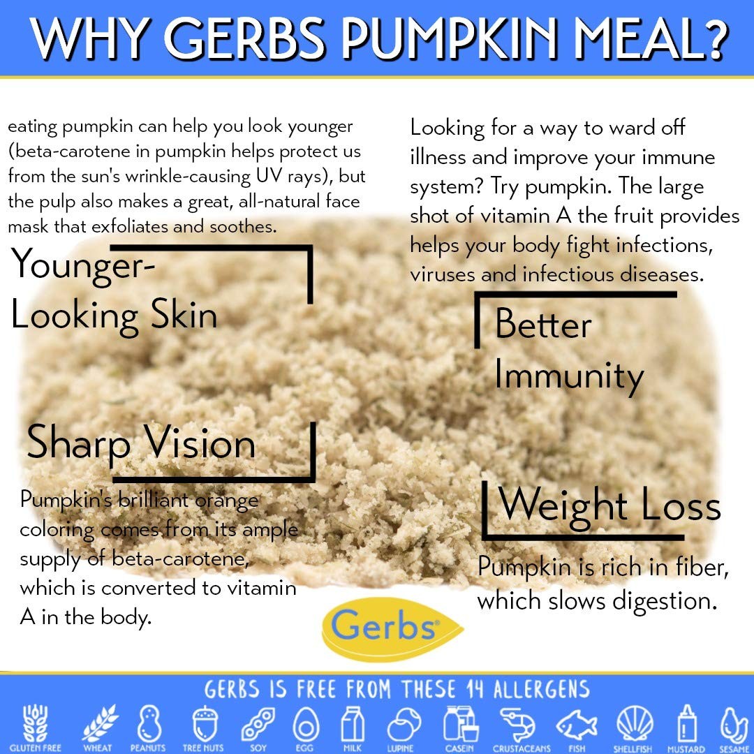 Gerbs Ground Pumpkin Seed Meal, 2 LBS – Top 14 Food Allergy Free NON GMO –