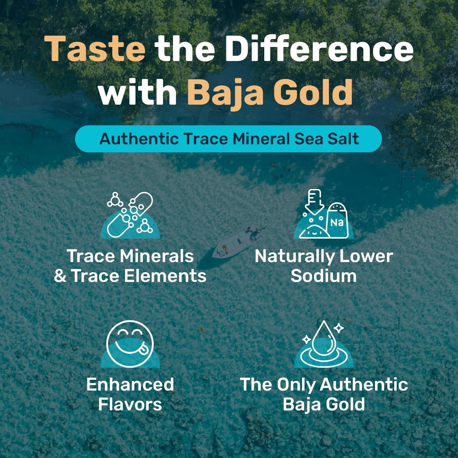 Signature Mineral Sea Salt Fine Grind Cooking Baking Natural Baja 1 lb