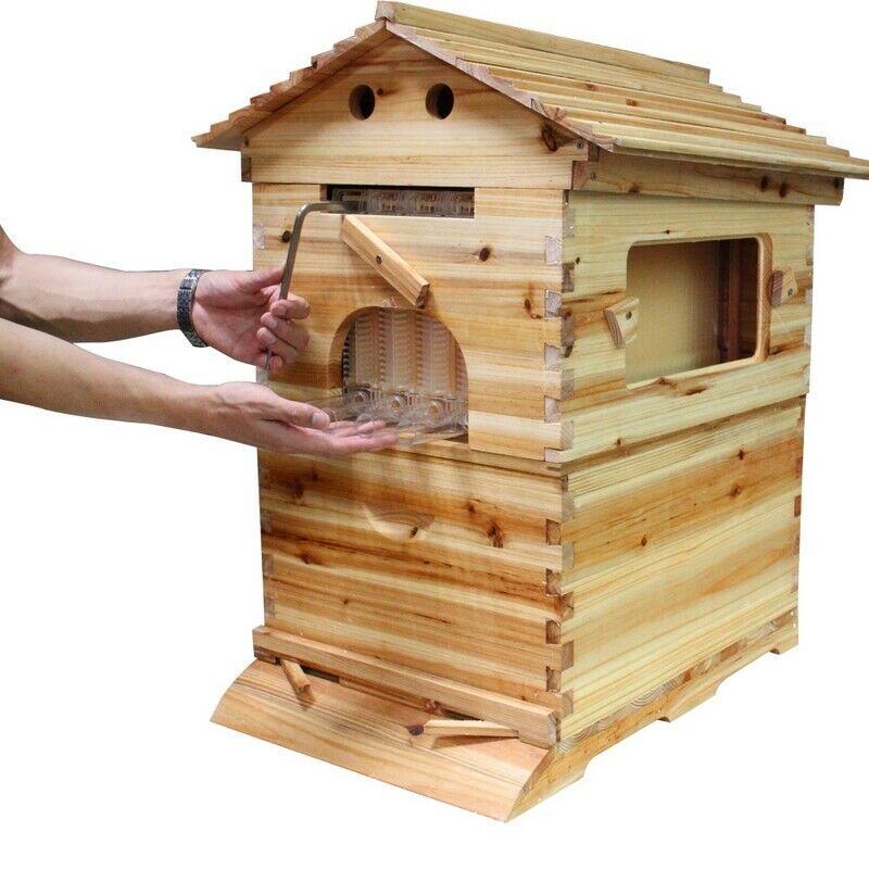 7PCS Auto Honey Hive Beehive Frames + Beehive House wooden Box Full Set