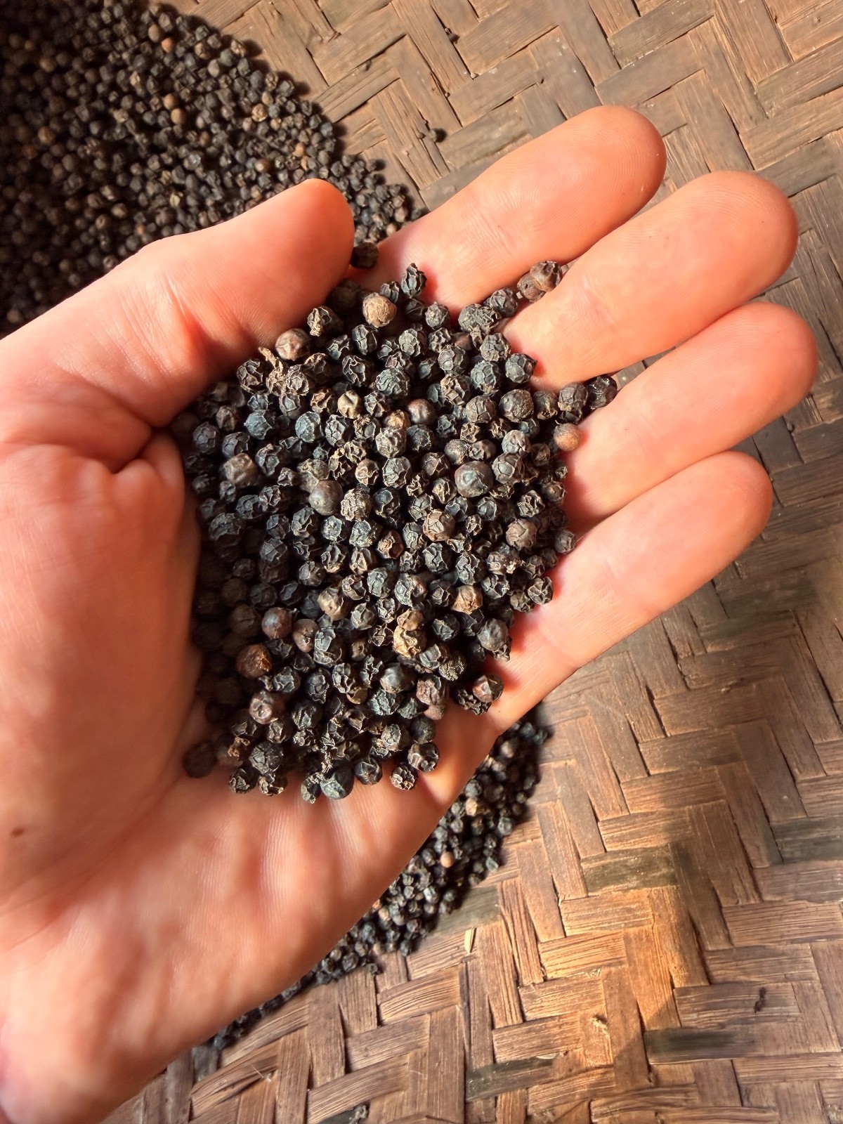Premium Vietnamese Black Peppercorns – Fresh Crop | Single-Origin | High Flavor