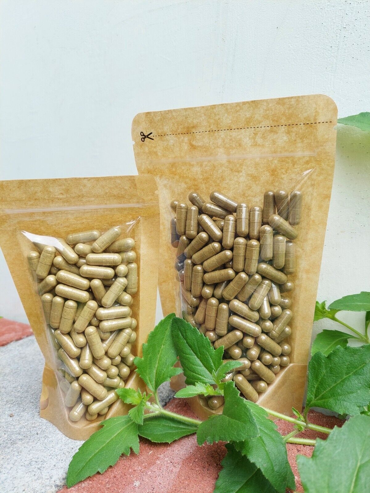 {idHerb} CAPSULE BINAHONG – ANREDERA CORDIFOLIA NATURAL ORGANIC HERBAL FRESH