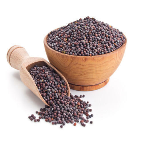Aiva Mustard Seeds Brown 7 oz