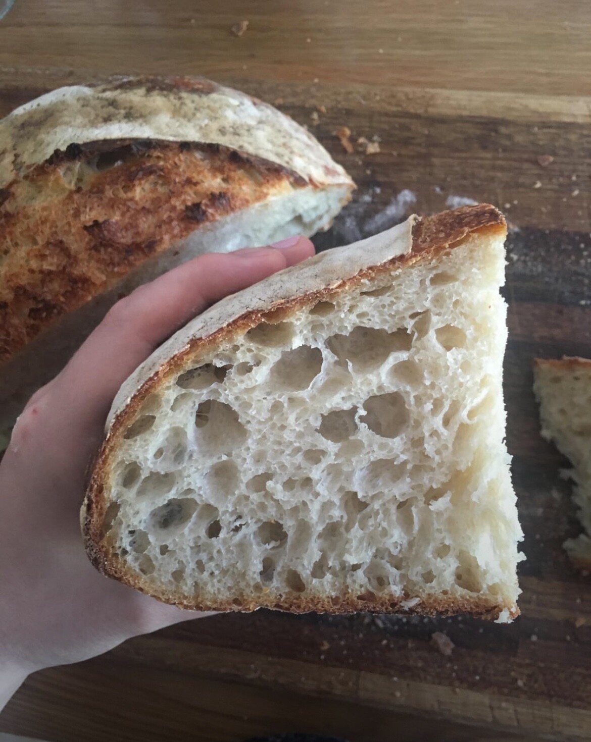 EASY Sourdough Starter Heritage San Francisco – Live 200yrs Old TOP SELLER!