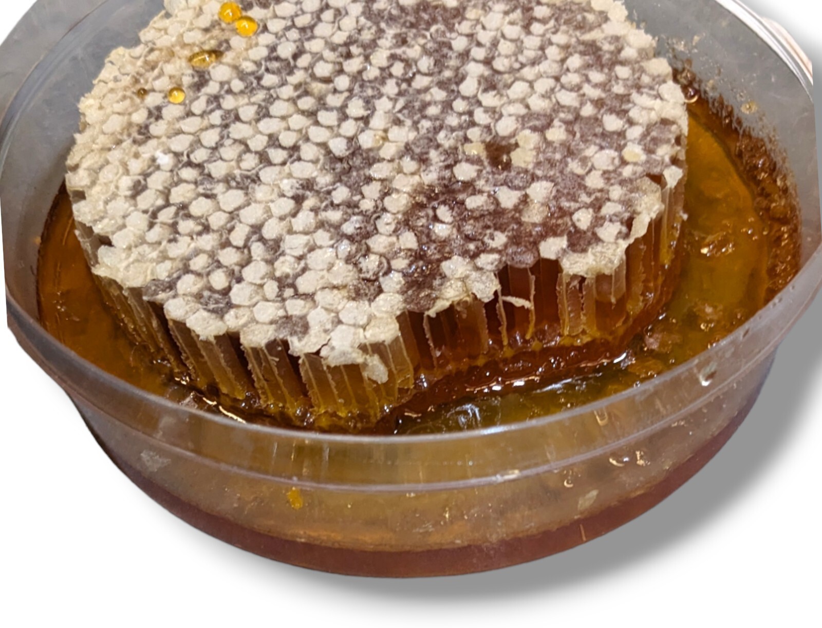 HONEYCOMB 2 Pack 17.6oz 500g each 100% PURE UNFILTERED HONEY COMB DELICIOUSNESS