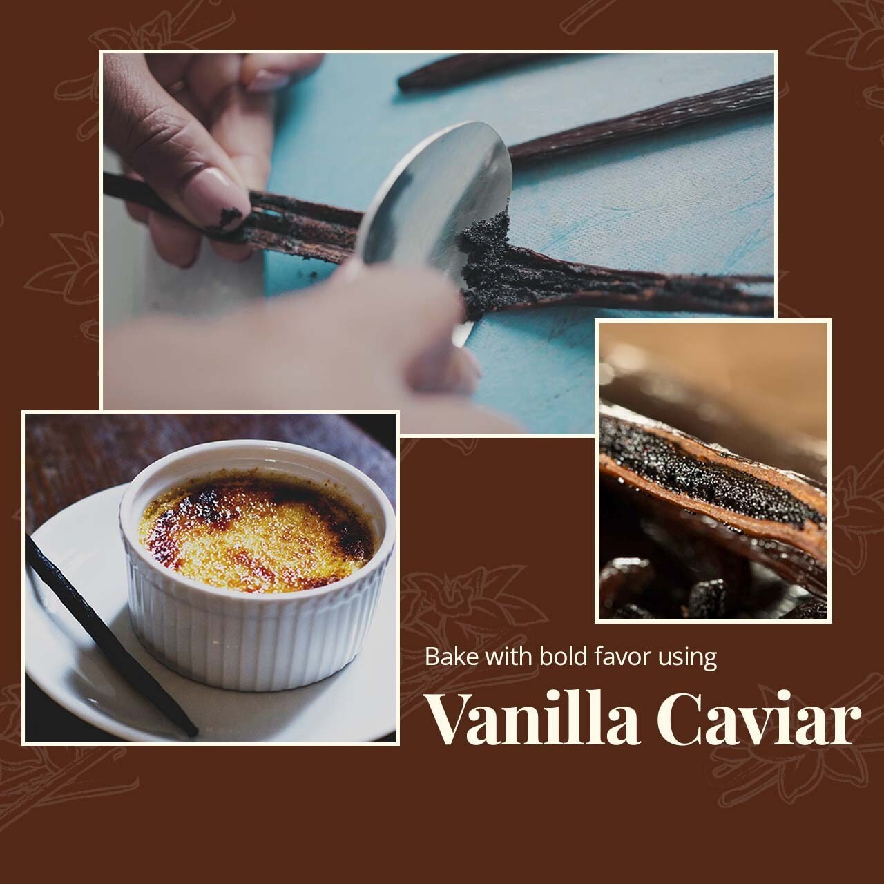 Whole Vanilla Beans, Grade A Vanilla Pods, Vanilla Beans for Making Extract