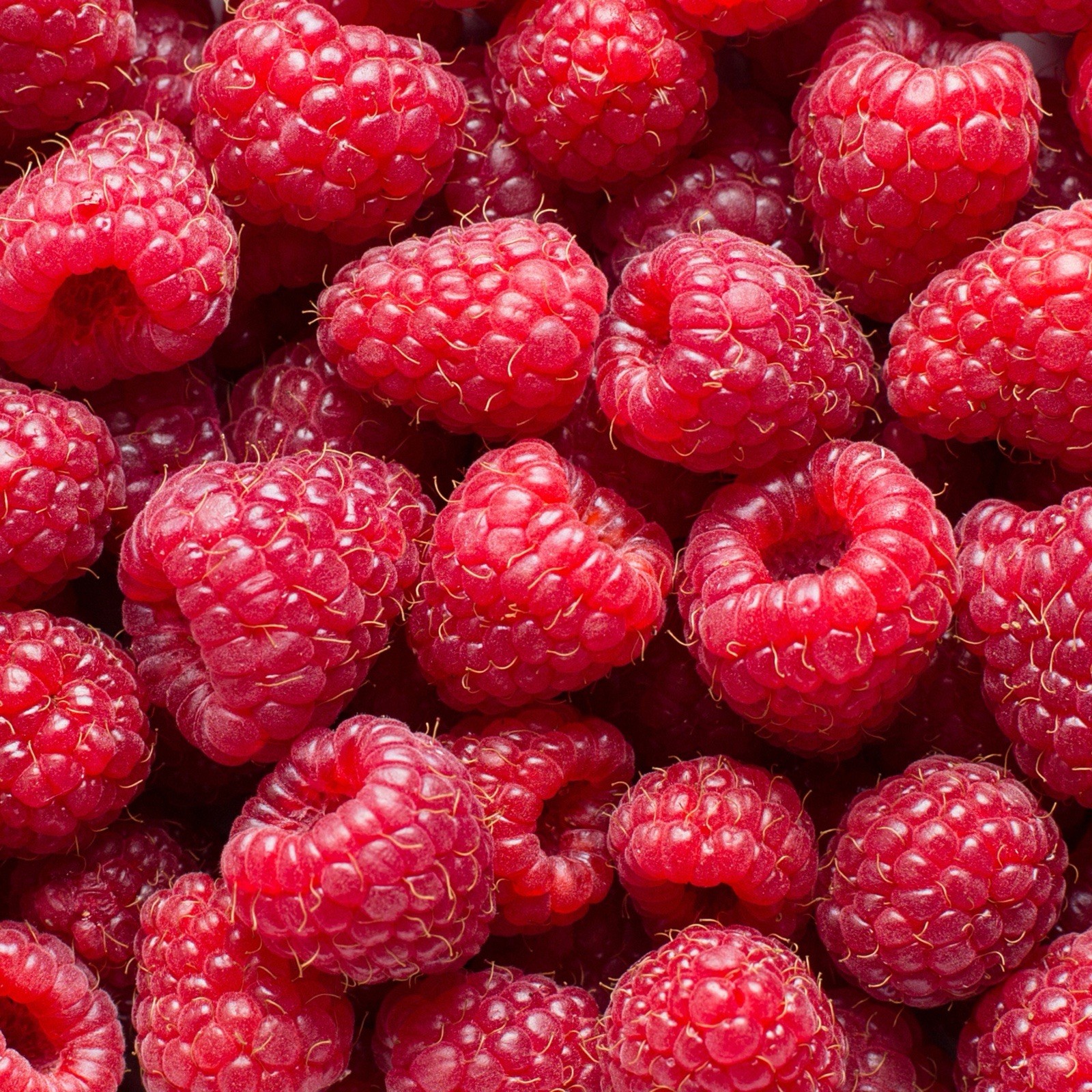 4 Packs Trader Joe’s Freeze Dried Raspberries-1,2 oz/34 g each – EXP 11/2027