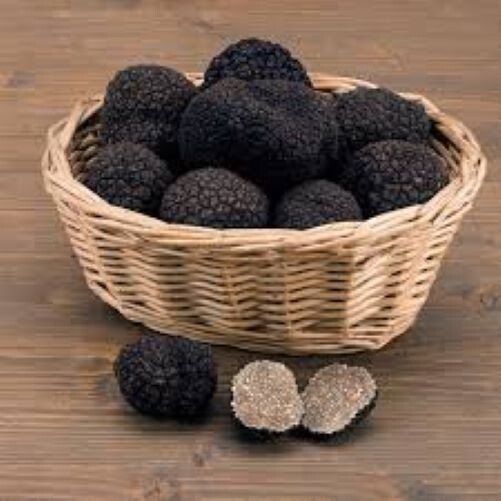 Precious Italian fresh black truffles. Black truffle 250g. 8,8 oz Mushrooms.Top