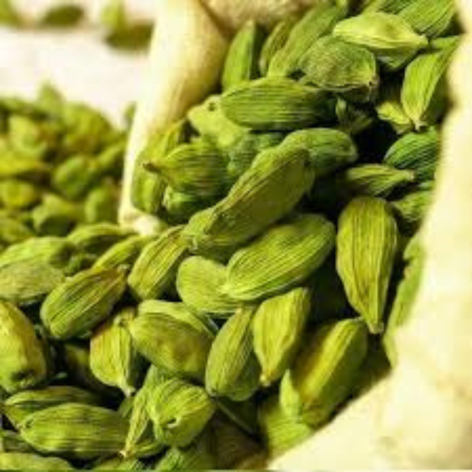 Green Cardamom pods Seeds 100% Ceylon Natural Quality Spices free shipping 25g