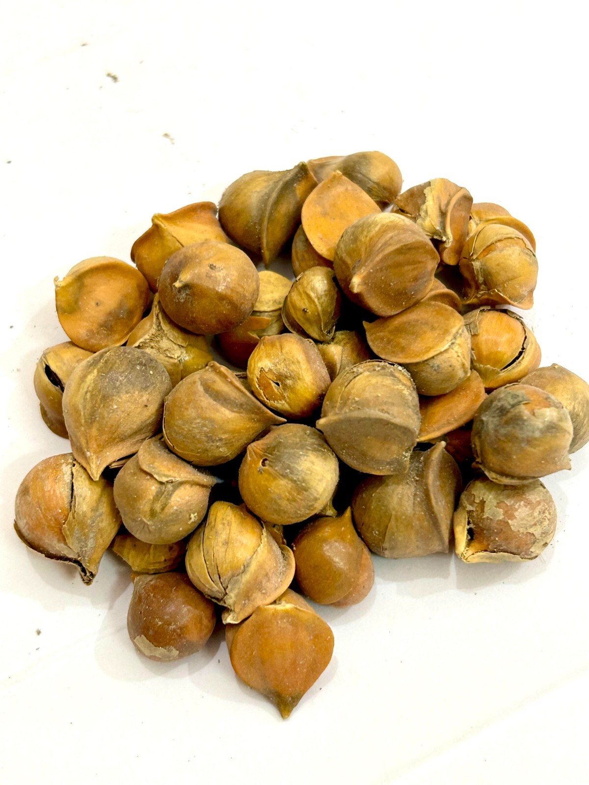 Organic Kashmiri Garlic, Fresh Pahadi Lahsun, Himalayan Garlic, Allium Sativum