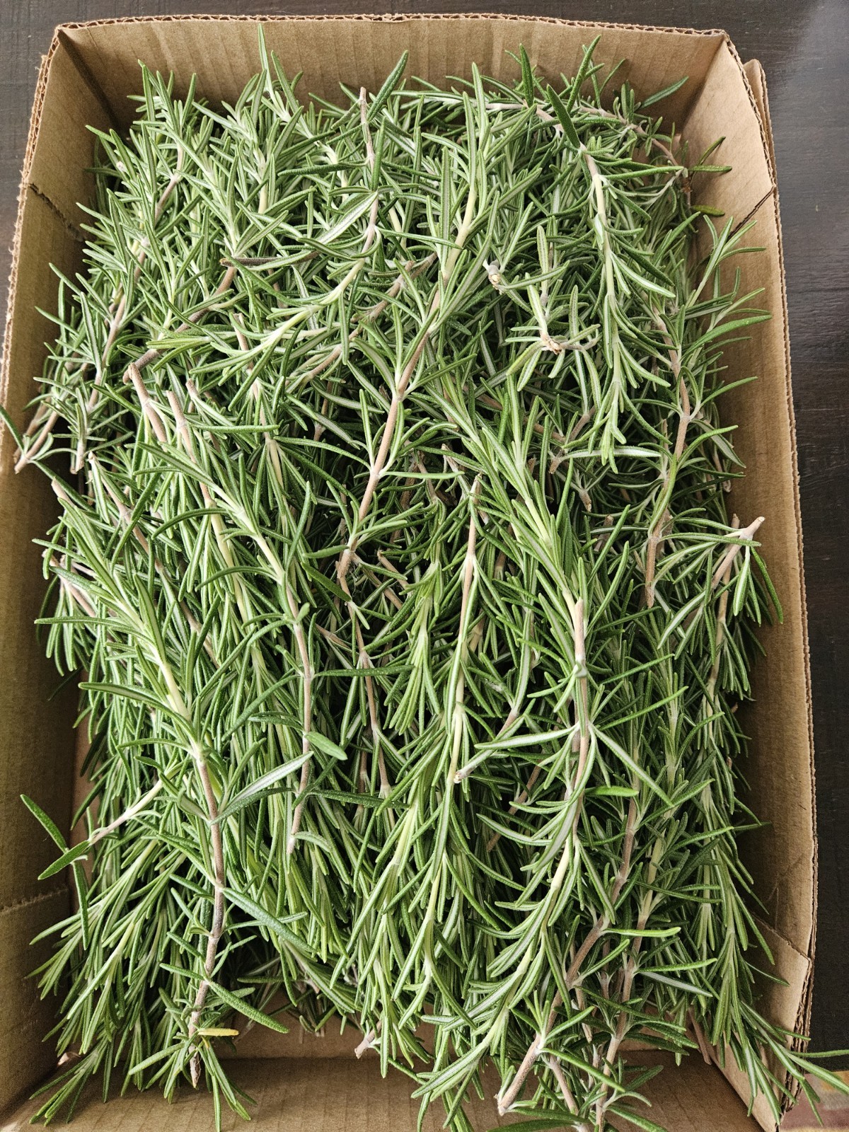 Organic Rosemary (Freshly Cut Or Dried) Locally Grown