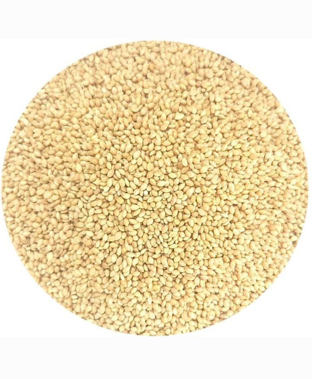Kangni Beej -Naj Kangani Beej – Kangni Seeds – Foxtail Millets – Kakum Beej –