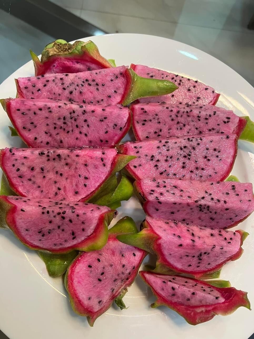 10 Self Fertile Dragon Fruit Cutting 8-14 Inches check the description