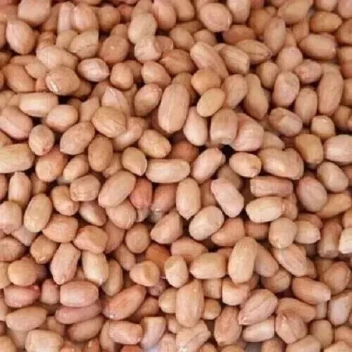 100% Natural Peanut Groundnut Fresh Whole Raw Peanuts Best Quality Dry Fruit