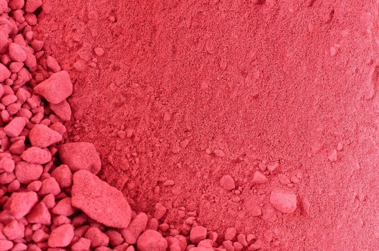 Beet Root Powder 2 lb Beta vulgaris Raw Non-GMO Nitric Oxide Remolacha en Polvo
