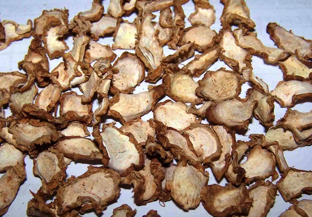 DRIED KAEMPFERIA GALANGA 沙姜 SLICED 4oz / 7 ozUS SELLER FREE SHIPPING