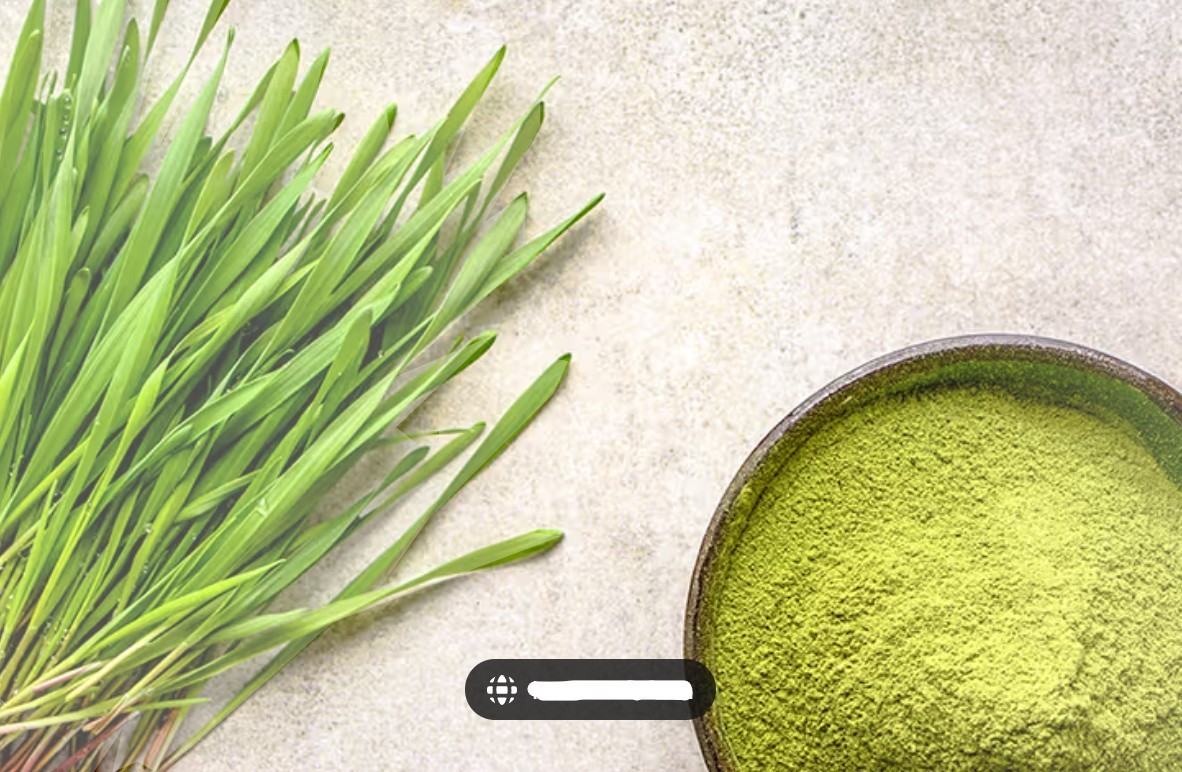 Organic Whole Unhulled Barley Seeds Non-GMO for Barley Grass Sprouts