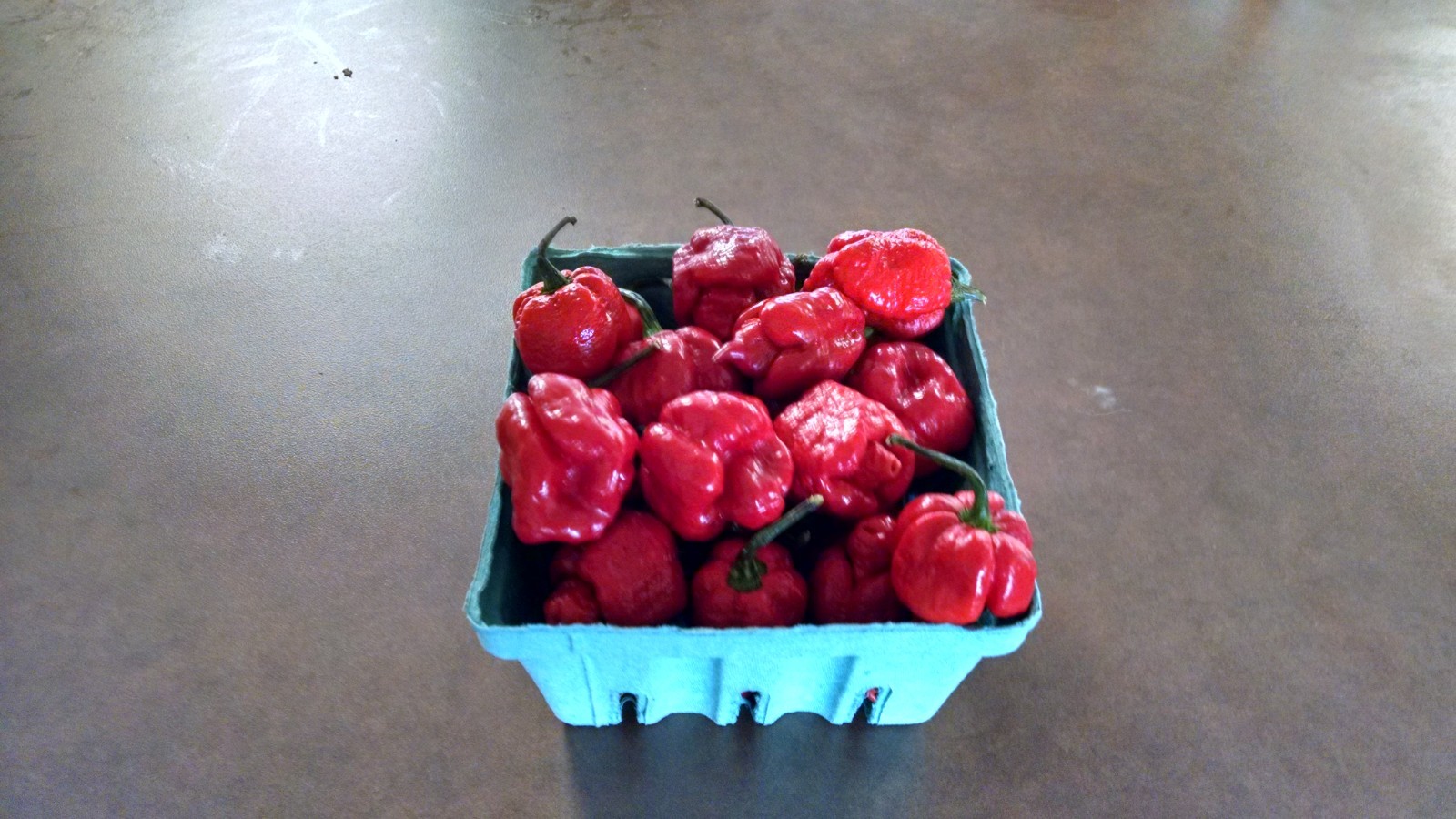 12 FRESH PICKED Red Trinidad Scorpion Moruga Peppers (Hydroponically Grown)