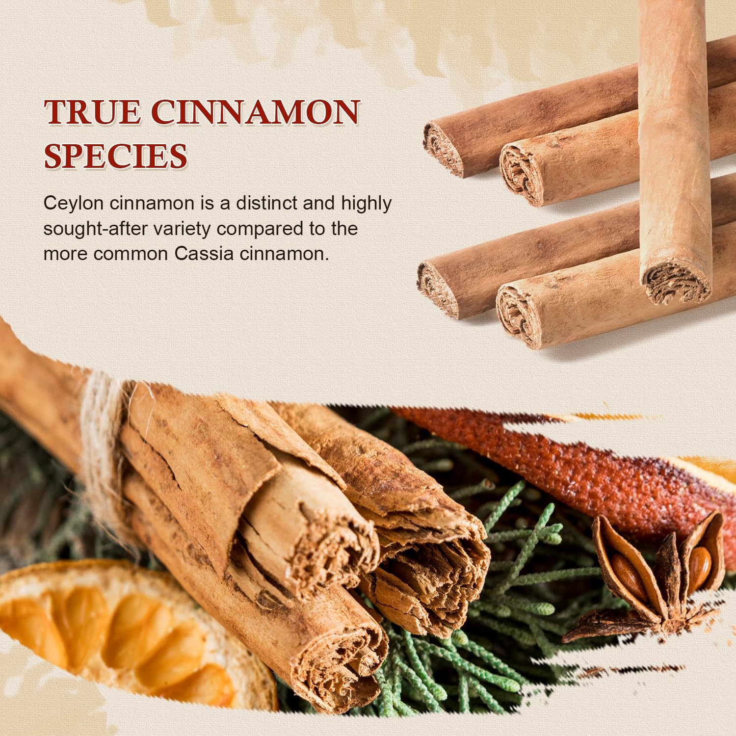 Organic Ceylon Cinnamon Sticks, 1 Ounce Pack of 1, True Cinnamon Farmed in Sr…