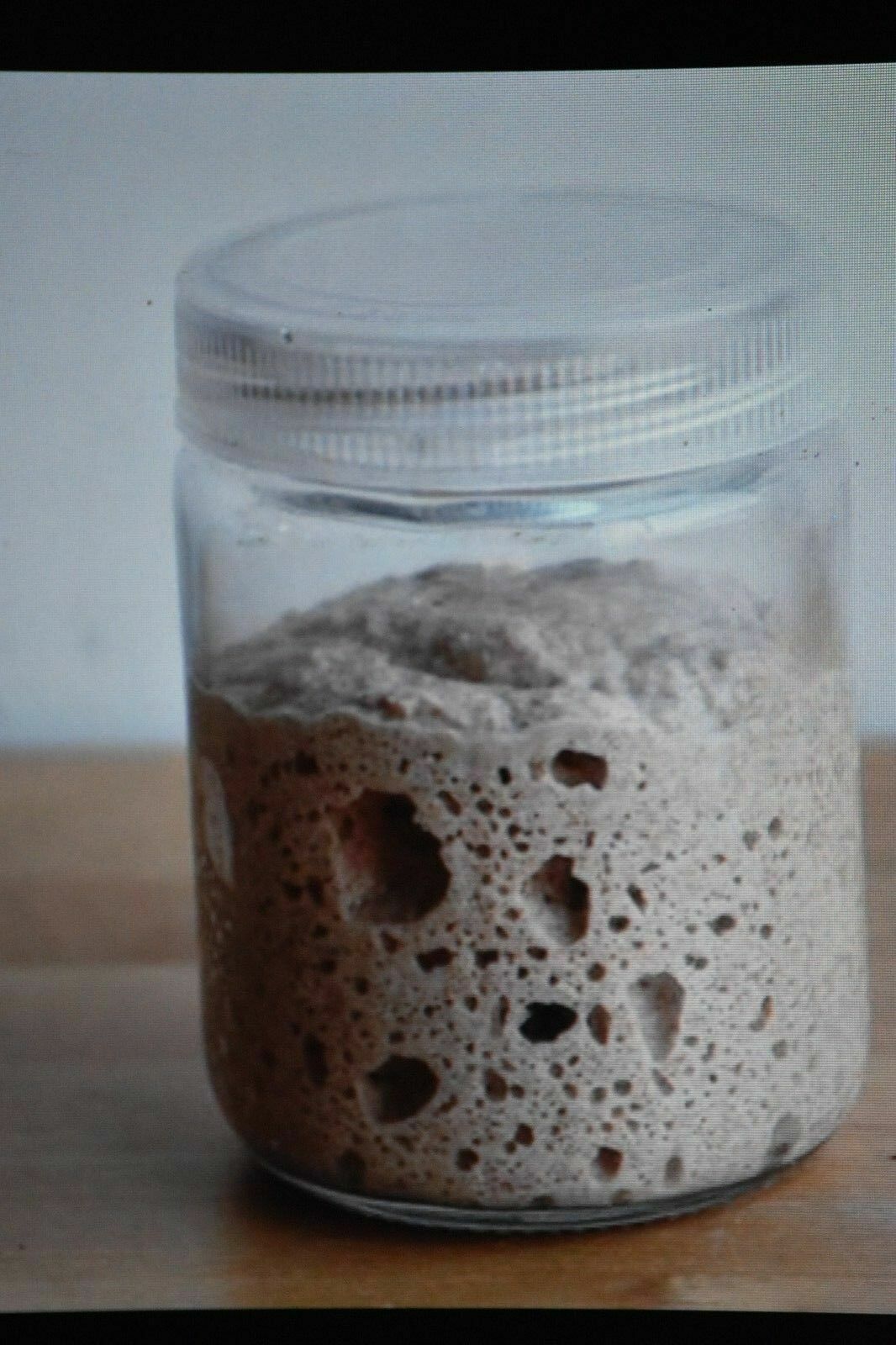 San Francisco SOURDOUGH live YEAST Purely Organic wharf FRESH BATCH MONTHLY