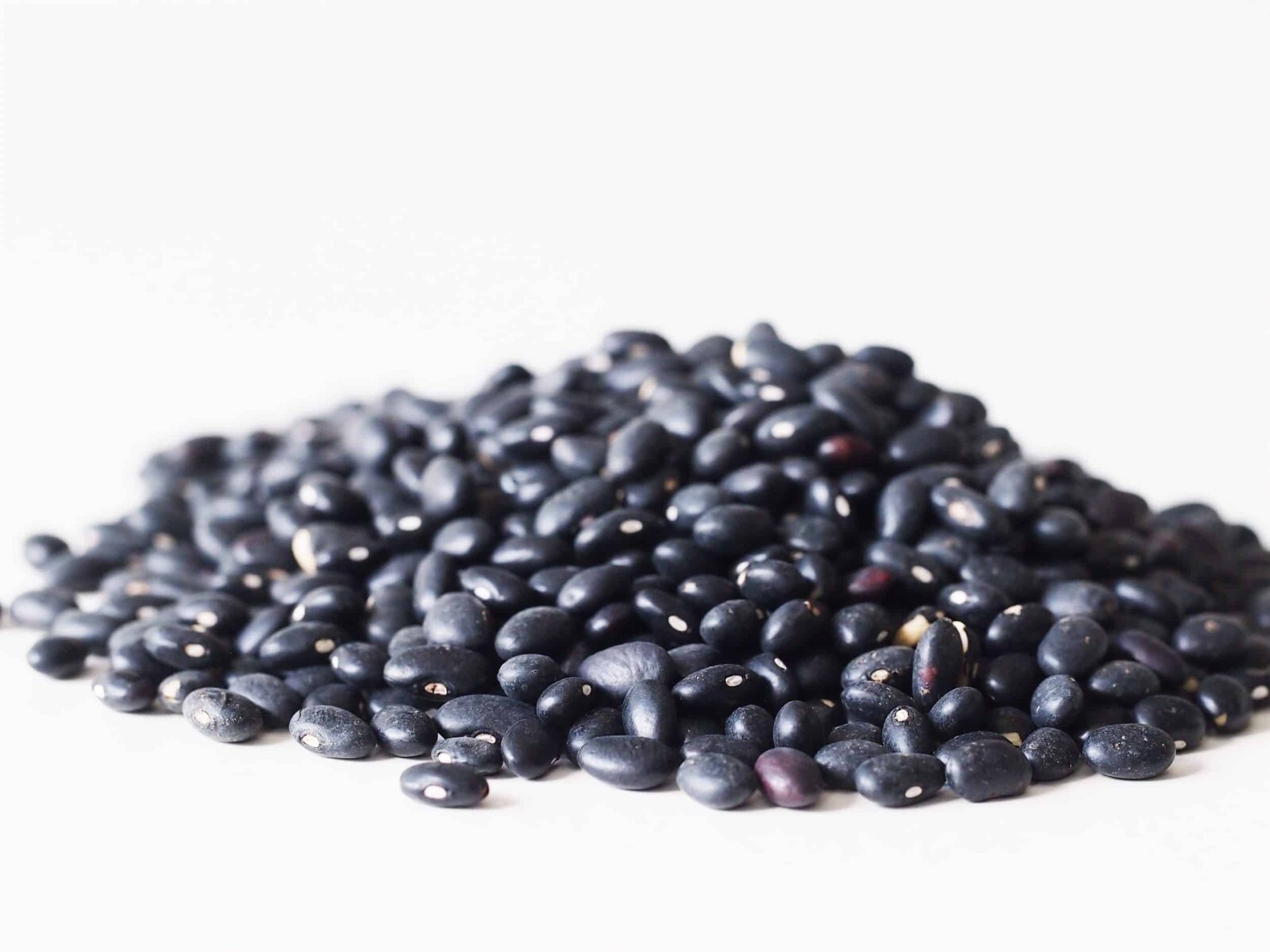 Black Beans Dry Frijoles Tortuga *Bulk Size Lots 1 3 5 10 20+ LBS PANTRY NON-GMO