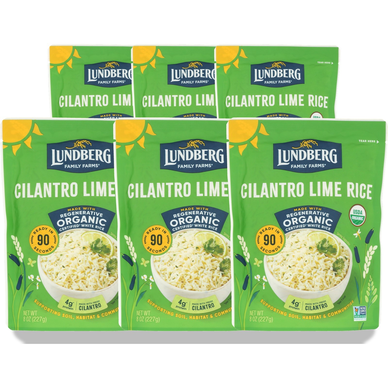 Lundberg Family Farms Organic Cilantro Lime Rice 8 Oz 6 Pack