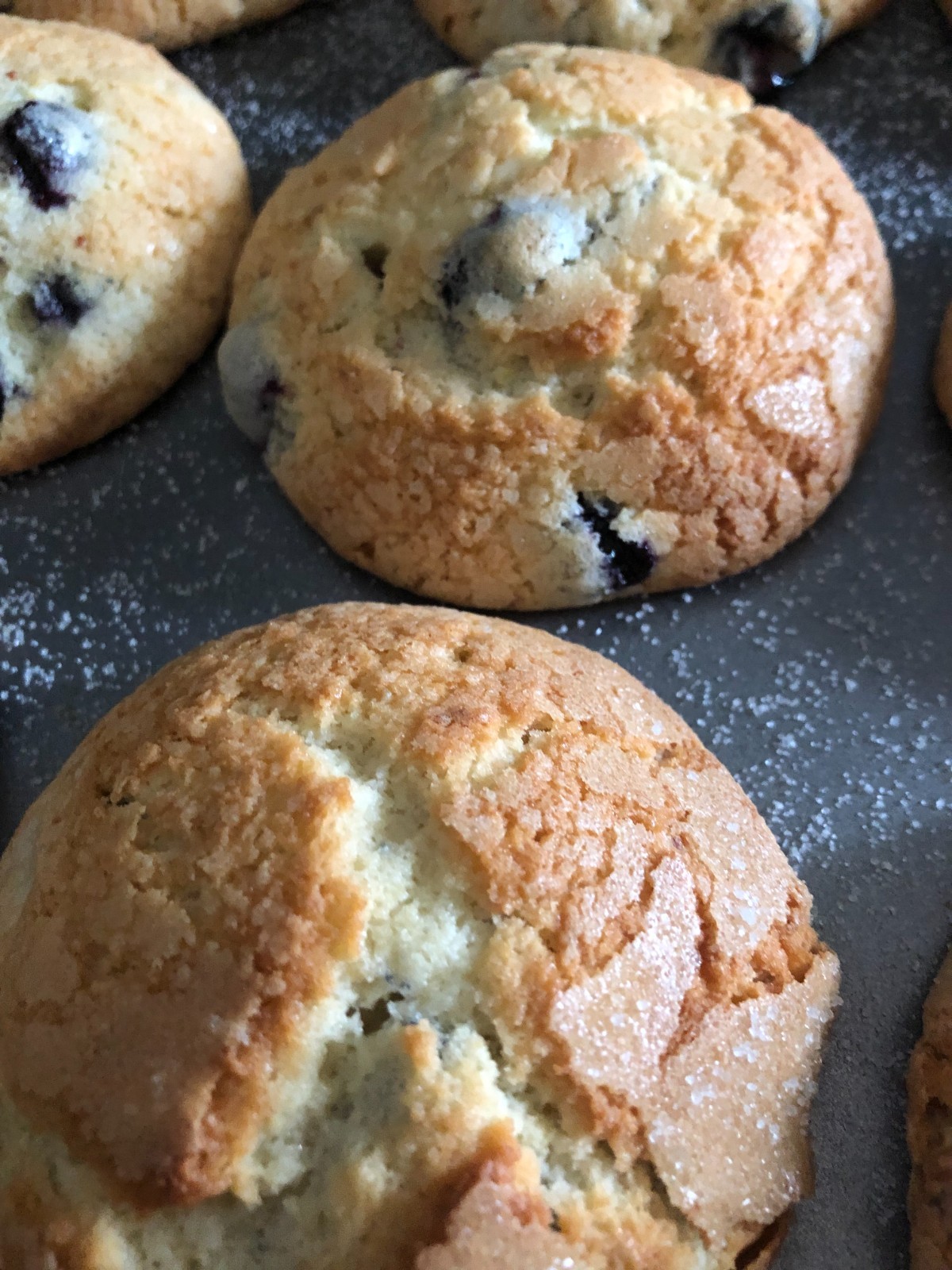 Lemon Blueberry Muffins * Homemade with Organic Ingredients