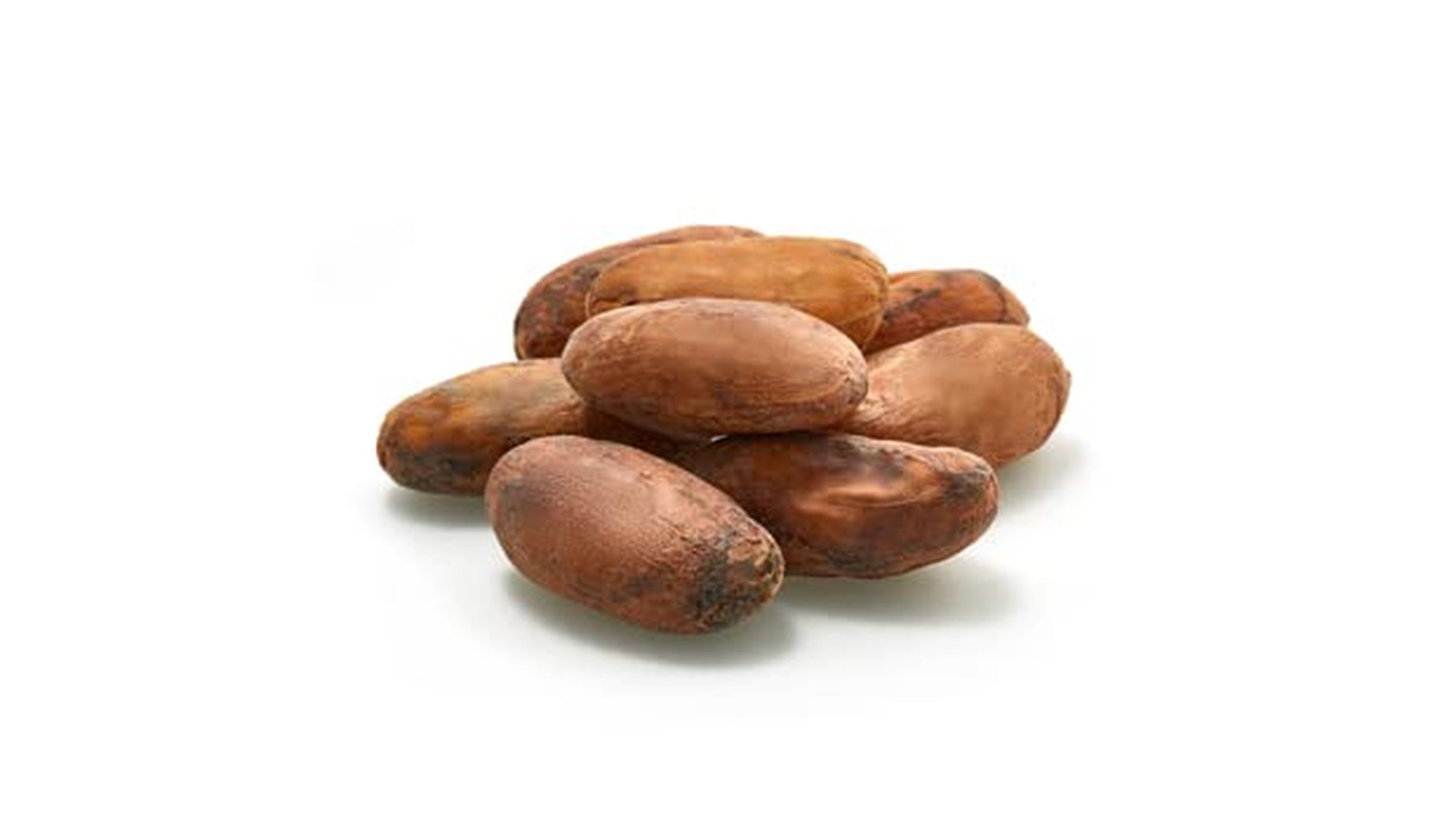 Organic Raw Cacao Beans 2.2 lb Unroasted Vegan Gluten Free Chocolate Making