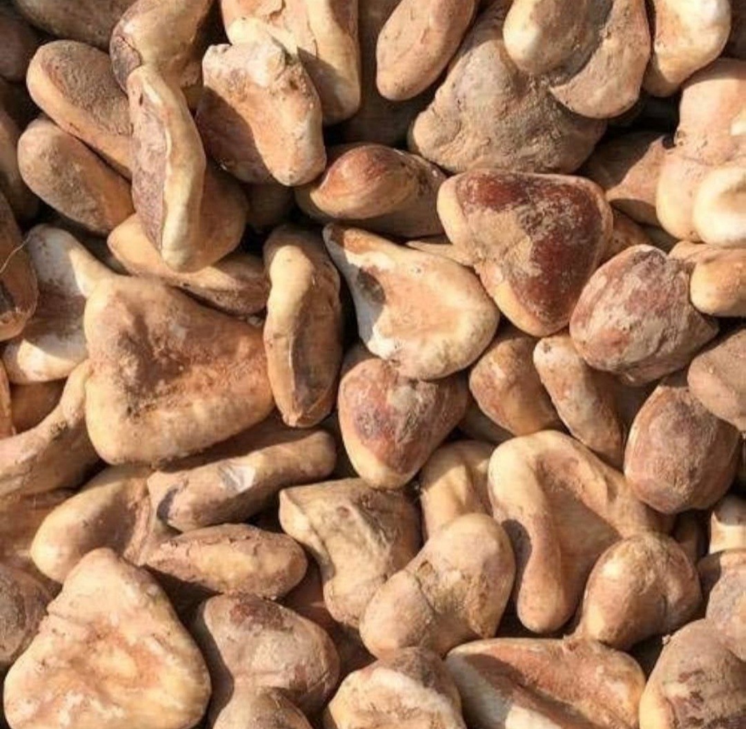Dry Fruits Dried Pure Natural Singhara-Dry-Singhada-Sookha