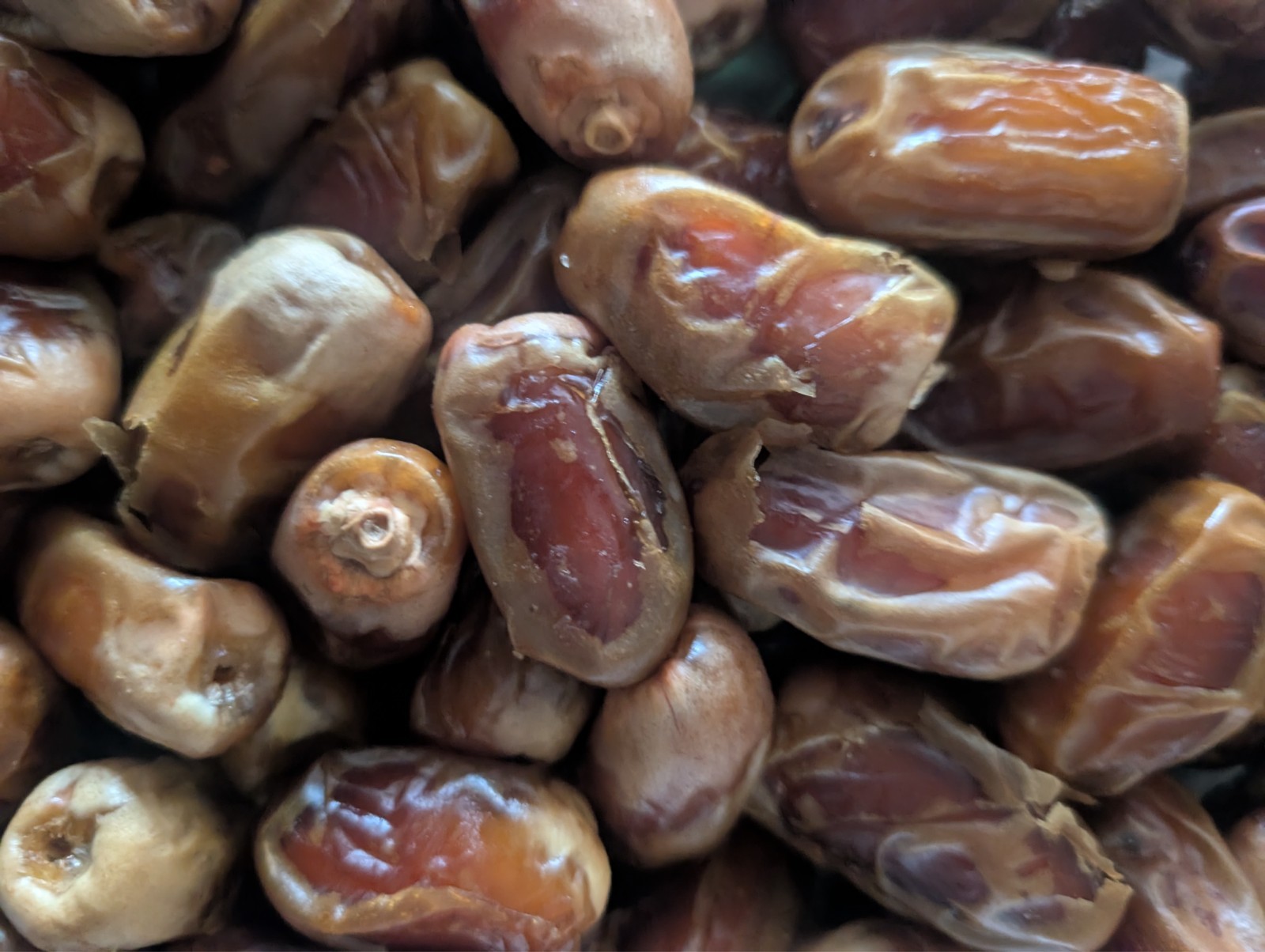 ORGANIC FRESH KOSHER DATES FROM DUBAI – 2 Pounds for $20.