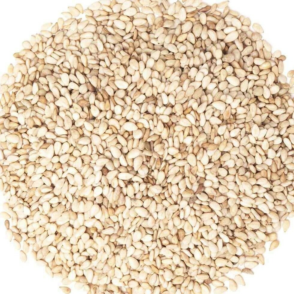 Fresh Premium Quality Whole White Sesame seeds