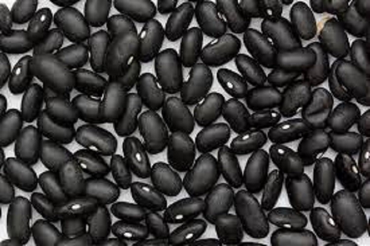 Dry Black Beans Black turtle beans – 1kg 2kg 5kg 10kg 15kg 20kg 30kg 50kg Bulk
