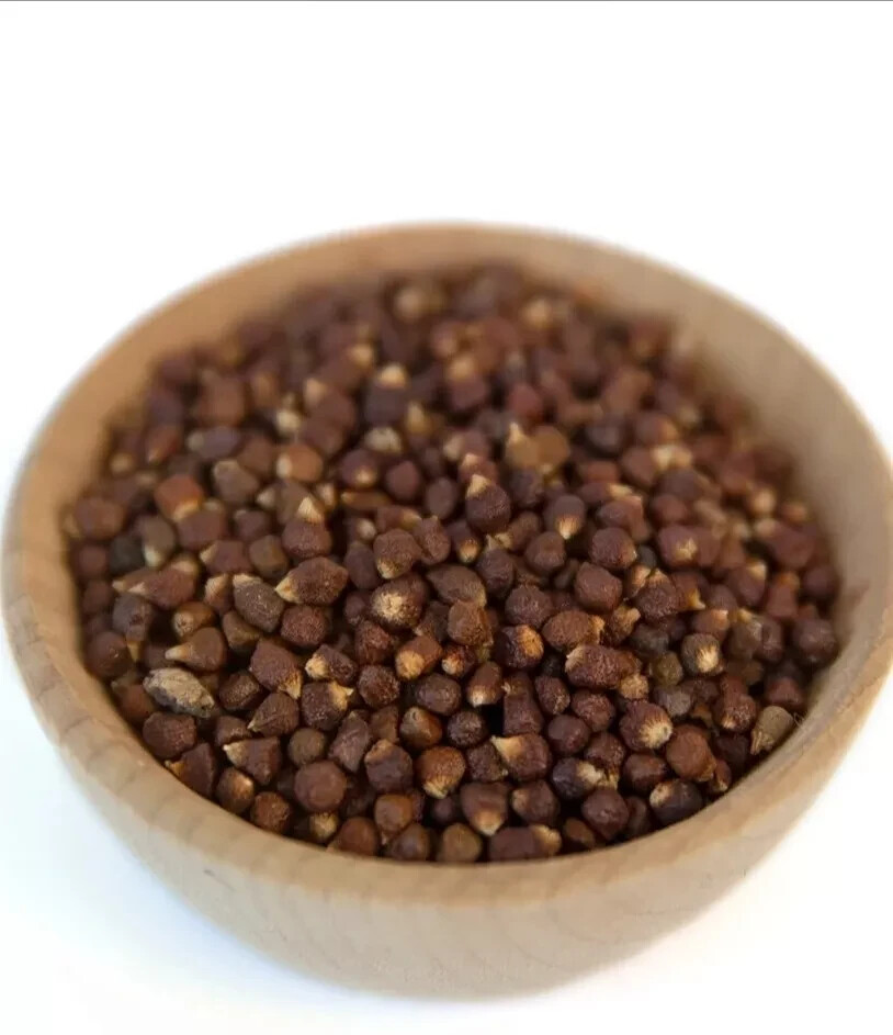 Alligator Pepper – Grain Of Paradise Seeds 2 oz