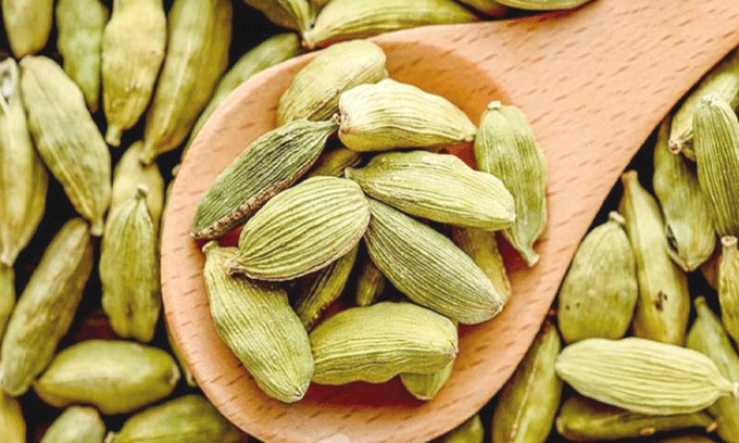 Green Cardamom Pods «Choti Elaichi» Fresh Quality Product