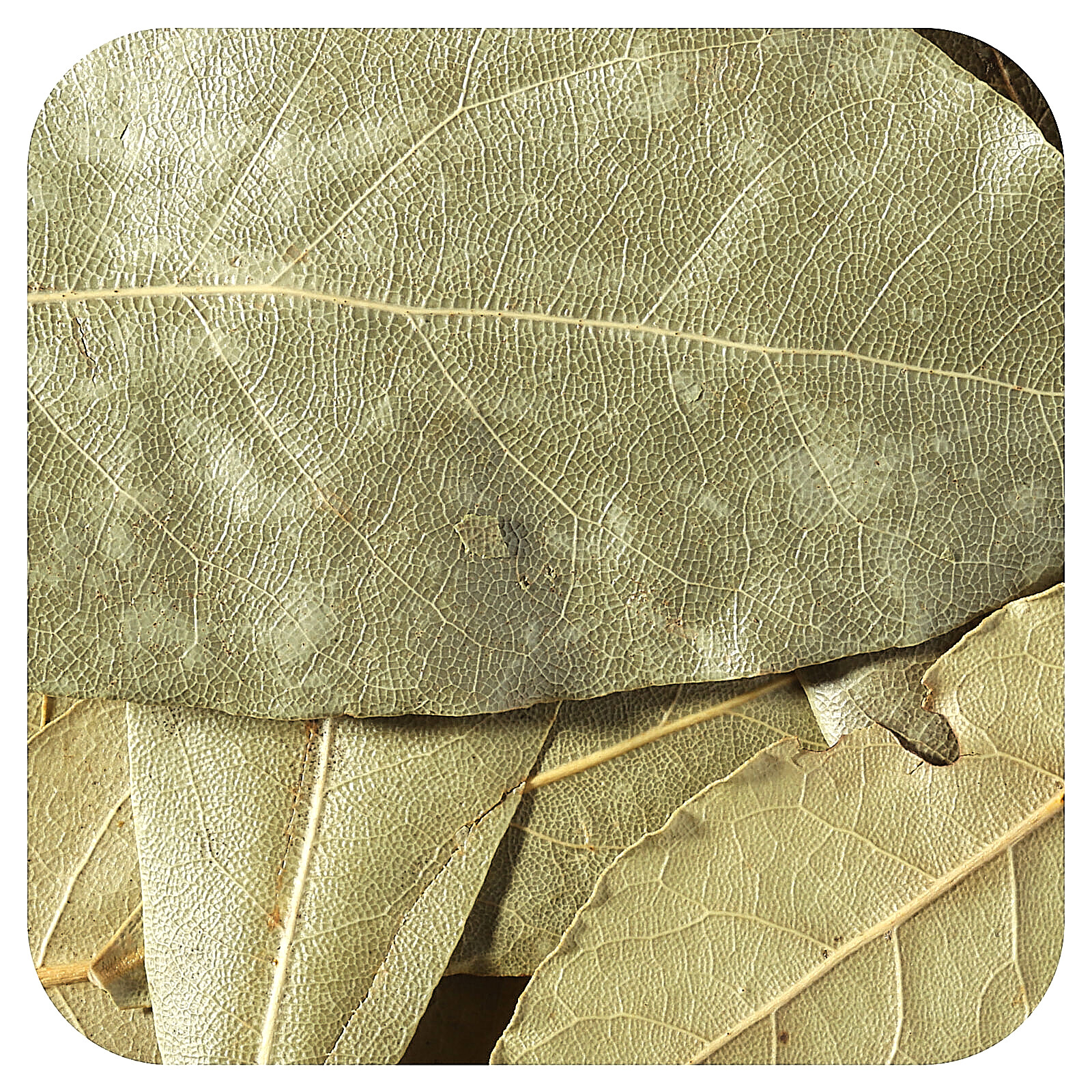 Organic Whole Bay Leaf, 8 oz (226 g)