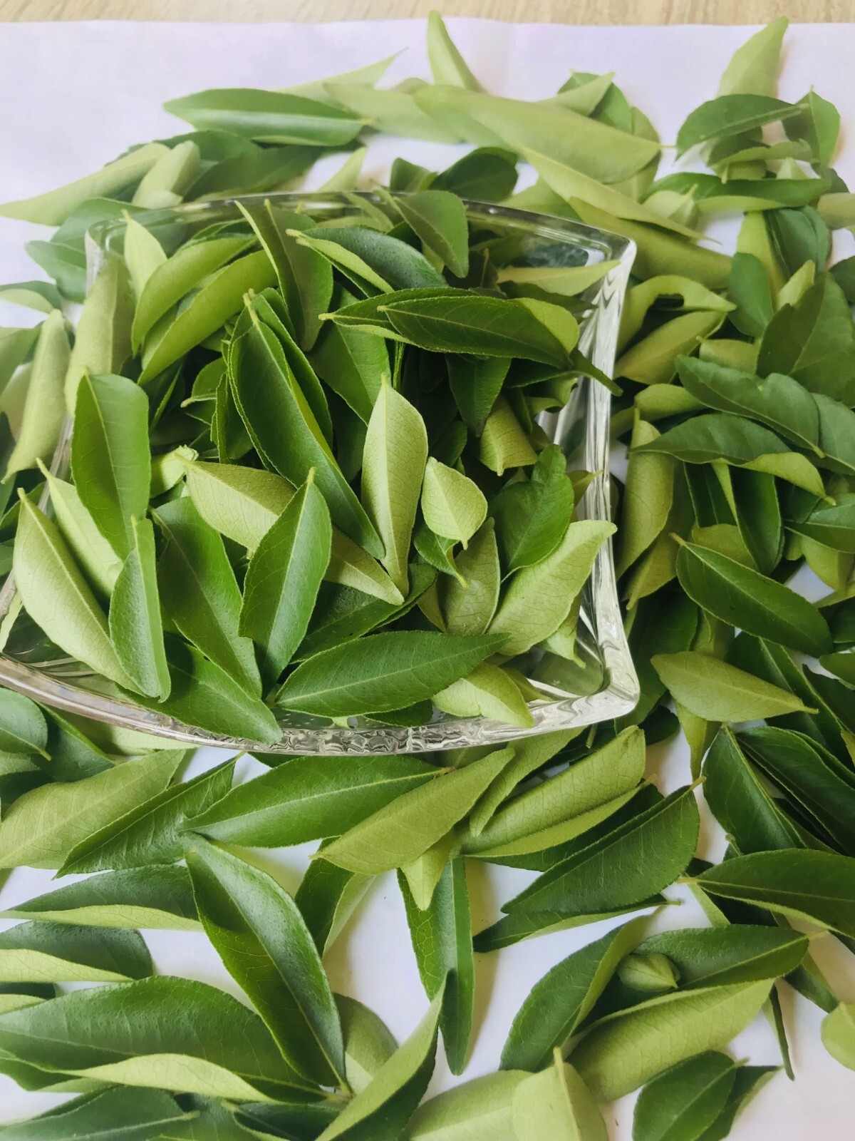 Sun Dried Organic Curry Leaf Natural Curry Leaves Premium Quality