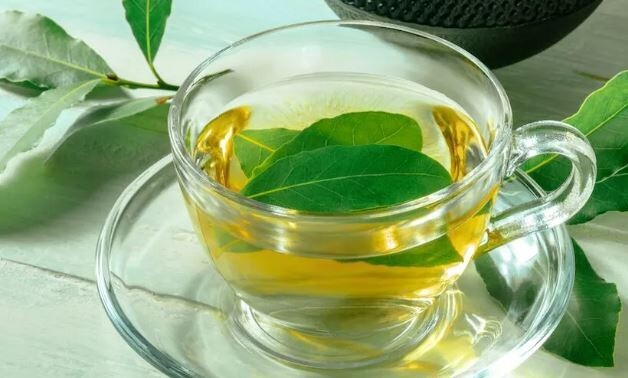 Bay leaf Tea Benefits for Skin 20, Fresh Organic Bay Leaves Leaf, Fresh