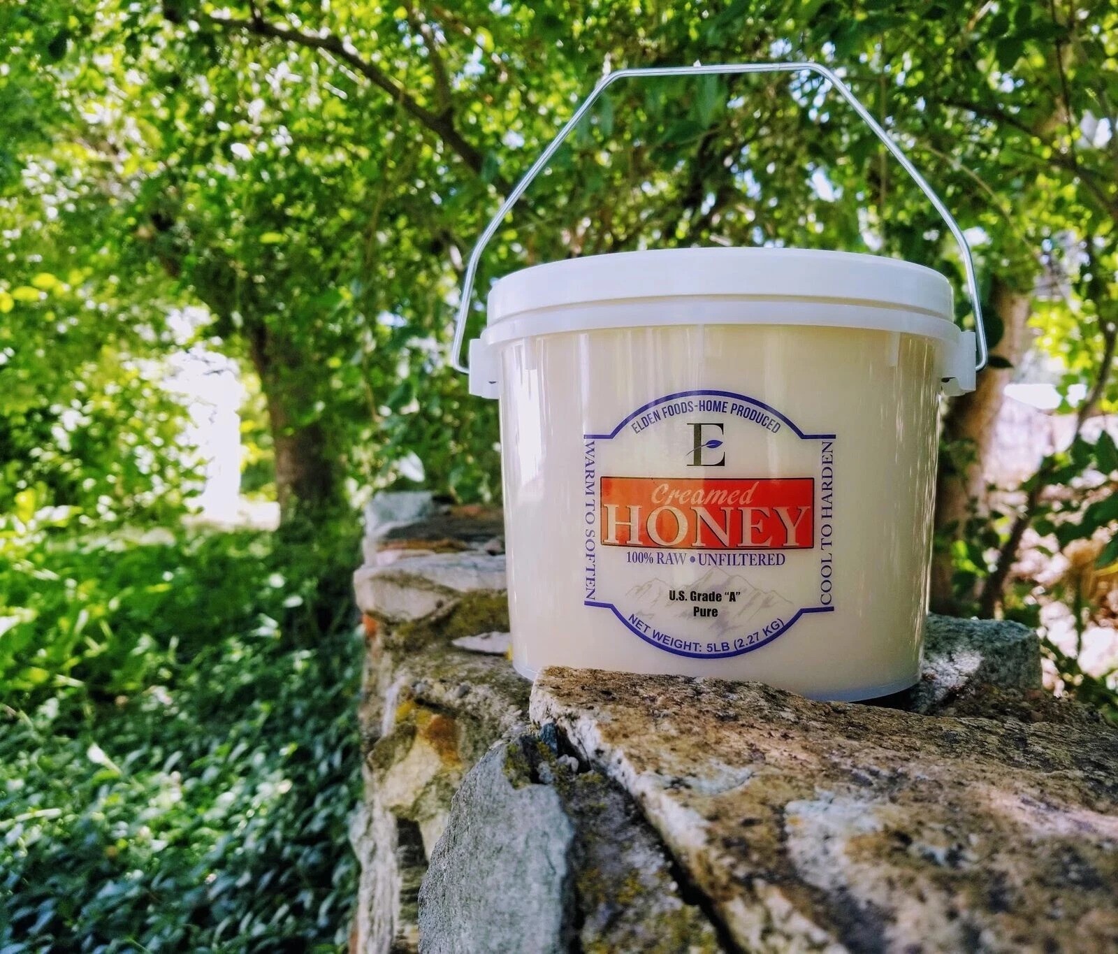 100% Pure Honey – Creamed!!! Raw and Unfiltered – Real Natural Honey