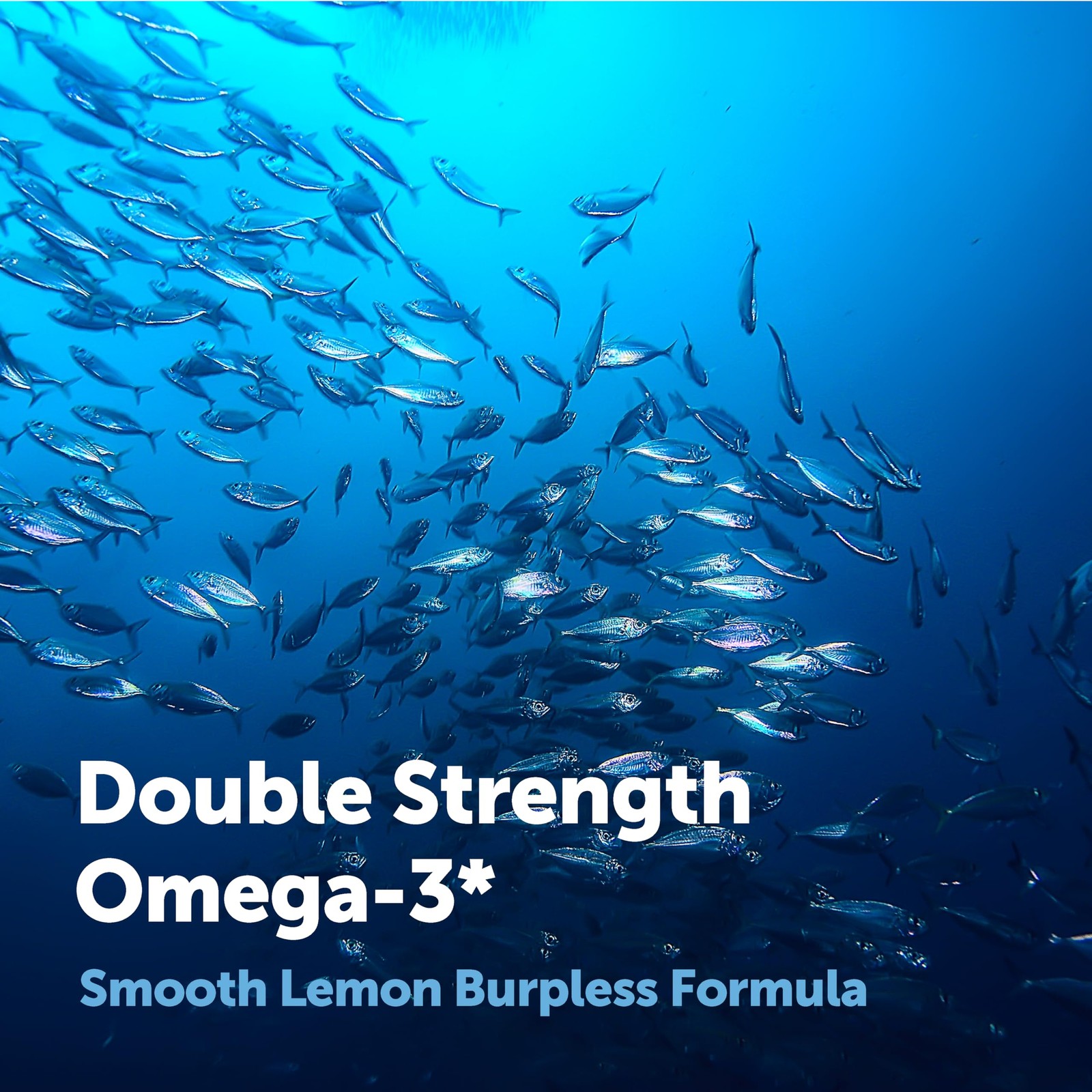 Micro Ingredients Omega 3 Fish Oil Supplements 3,000mg 240 Count (Pack of 1)
