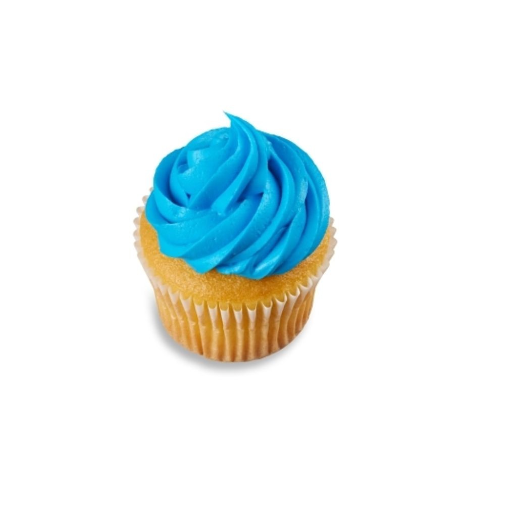 Brill Blue Decorating Icing – 14 Pounds