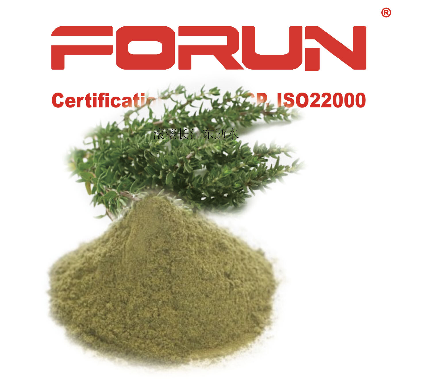FORUN Pure Thyme Powder – Fine Ground, Strong Flavour