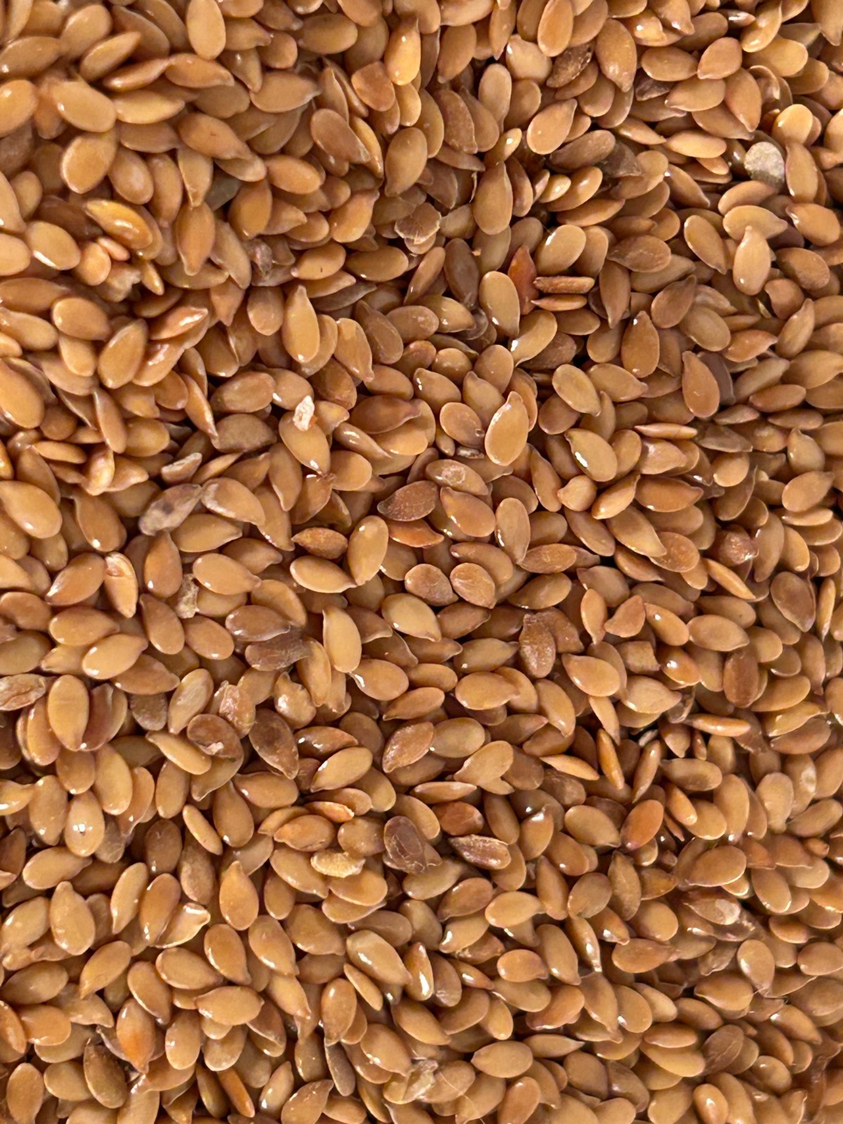 20 lbs Purity Seeds Golden Omega Flax Seed flaxseed 2-10 lbs bags FREE SHIPPING