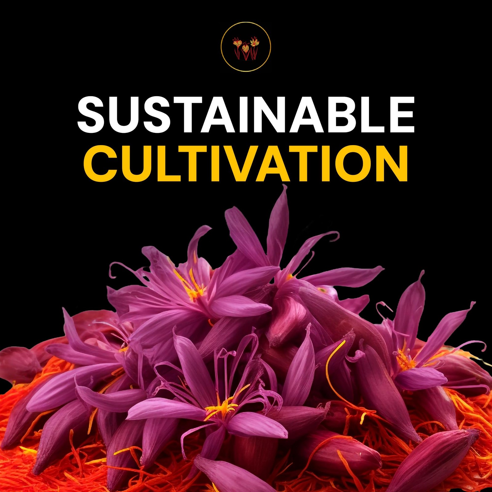 Saffron – Premium Super Negin Saffron Threads, Hand-Harvested & Naturally Dri…