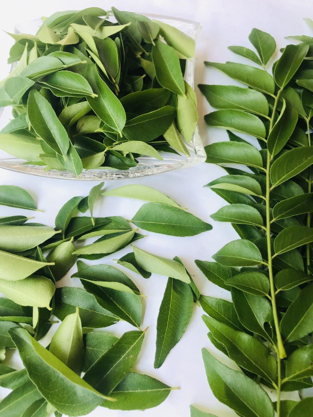 Sun Dried Organic Curry Leaf Natural Curry Leaves Premium Quality